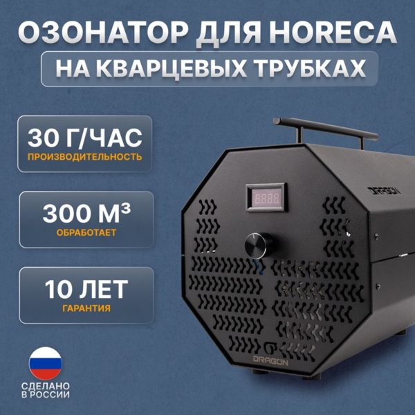 Профессиональный озонатор воздуха Dragon HORECA – 30 г